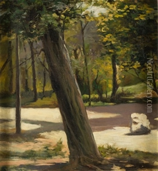 Arbol En El Parque Oil Painting - Cecilio Pla