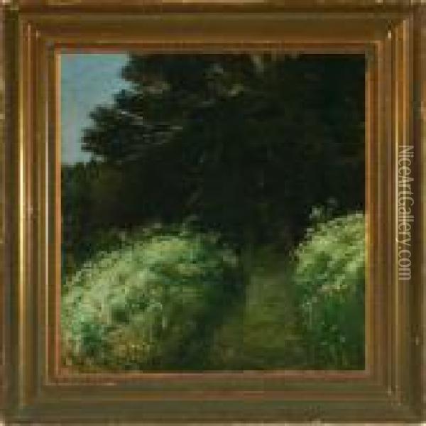 Path On Thefringes Of The Forest Oil Painting - Agnes Slott-Mrller