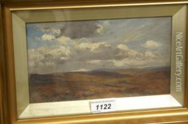 Extensive Moorland Landscape Oil Painting - Jan Stevens