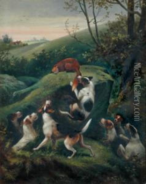 Hounds Andfox Oil Painting - Edwin Steele