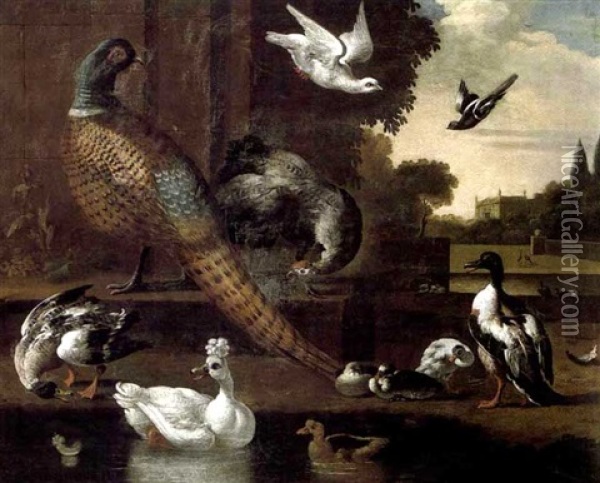 Faison, Dindon, Canards Et Pigeon Le Long D'un Etang De Chateau Oil Painting - Melchior de Hondecoeter