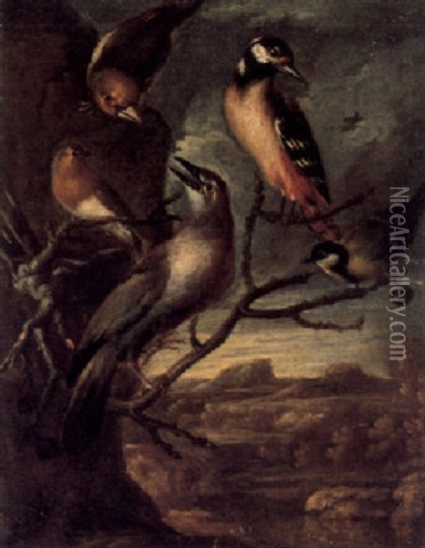 Vogelkonzert In Einer Landschaft Oil Painting - Giovanni (Crivellino) Crivelli