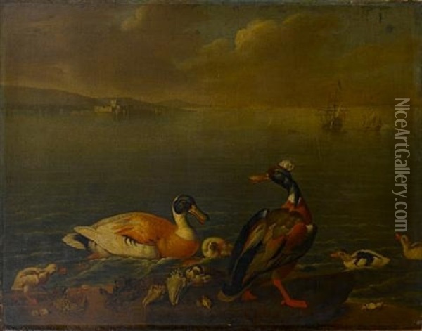 A View Of An Estuary (medway?) With Upnor Castle In The Distance, An English Man O'war And Other Vessels At Sea, In The Foreground A Family Of Ducks Oil Painting - Robert Griffier