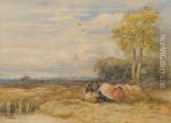 A Gypsy Encampment Oil Painting - David I Cox