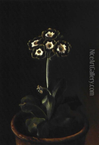 Primula I Lerpotte Oil Painting - Hansine Kern-Eckersberg