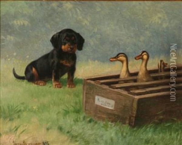 A Dachshund Looking At Ducks Oil Painting - Simon Simonsen