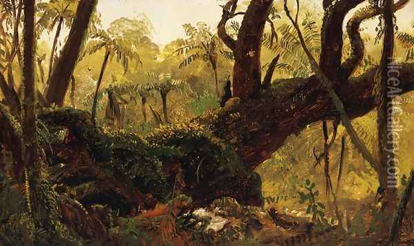 Rain Forest, Jamaica, West Indies Oil Painting - Frederic Edwin Church