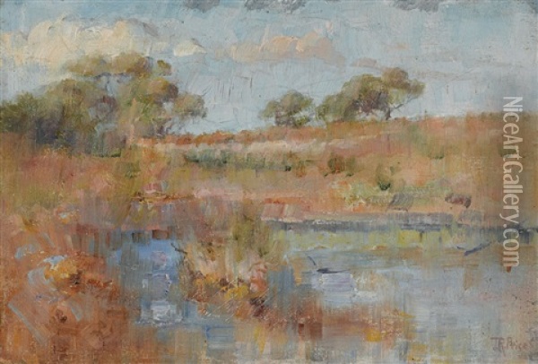 Landscape Oil Painting - Jane R. Price