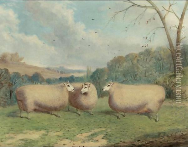 Mr. Henry J. Hopkin's Prize Sheep, Winners Of The 1st And 2nd Prizes At Brockley, Smithfield Club, Bedford, Market Harborough, 1876-1877 Oil Painting - Richard Whitford