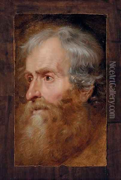 Head of an old man Oil Painting - Sir Anthony Van Dyck
