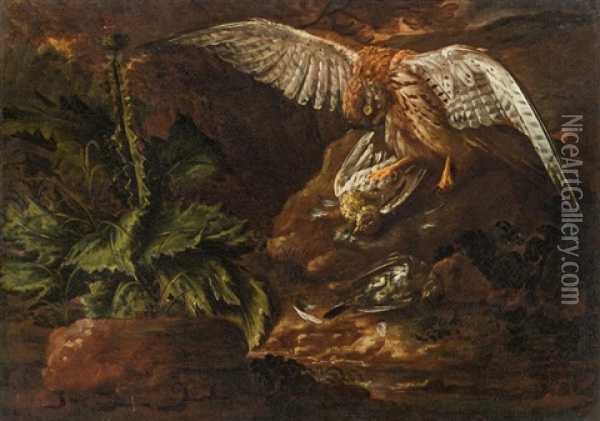 Hunting Hawk Oil Painting - Philipp Ferdinand de Hamilton