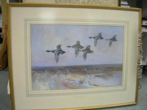 Mallard In Flight Oil Painting - Frank Southgate