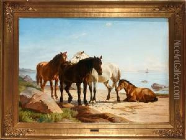 Horses On A Beach Oil Painting - Adolf Henrik Mackeprang