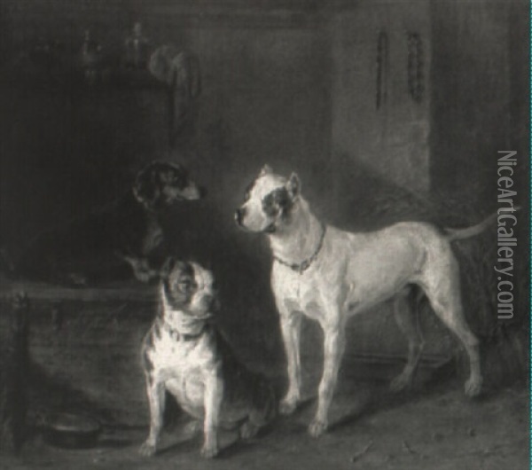 Drei Hunde In Der Scheune Oil Painting - Franz Adam