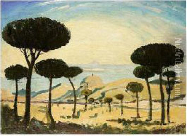 Pines At Collioure, South Of France Oil Painting - James Dickson Innes