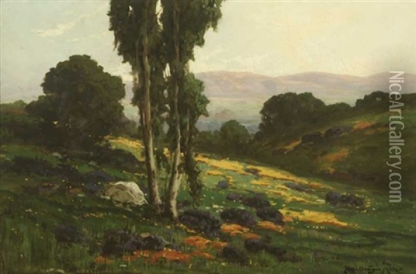 Spring Day In The Puente Hills Ca. Oil Painting - Ralph Davison Miller