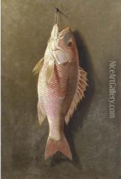 Still Life Of Red Snapper Oil Painting - Thomas Sedgewick Steele