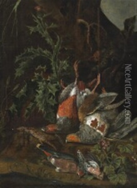 Nature Morte With Wild Birds Hanging At A Thistle Oil Painting - Jan Weenix