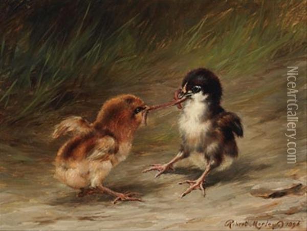 Two Chicks With A Worm Oil Painting - Robert Morley