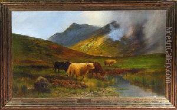 Highland Cattle In A Misty Glen Oil Painting - Peter Graham