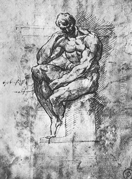 Study of a Man 1510-11 Oil Painting - Michelangelo Buonarroti