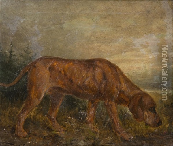 A Hungarian Hound Oil Painting - Anton Weinberger