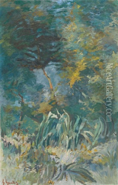 Sonnige Waldlichtung Oil Painting - Fernand Gaulis