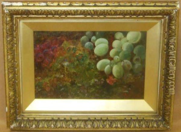 A Still Life Study Of Fruit On A Mossy Bank Oil Painting - Lucas