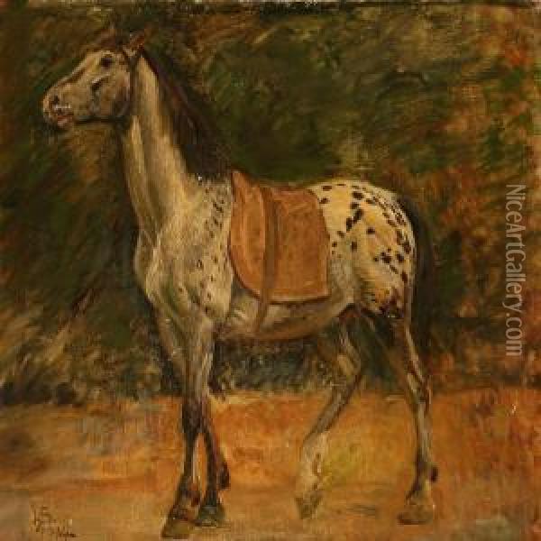 A Knabstrupper Horse Oil Painting - Joakim Skovgaard