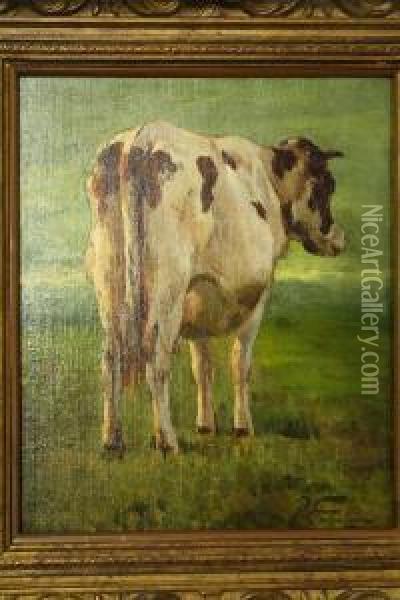 Roodbonte Koe In Weide Oil Painting - Pieter Stortenbeker