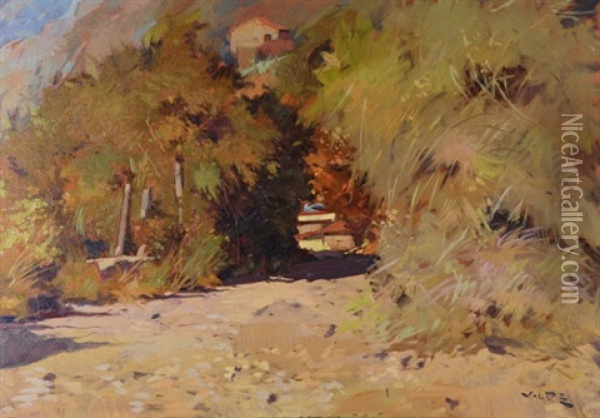 Corsica Oil Painting - Amedeo Ghesio Volpengo