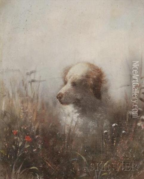 Dog In A Field Of Wild Flowers. Oil Painting - Gustav Eichhorn