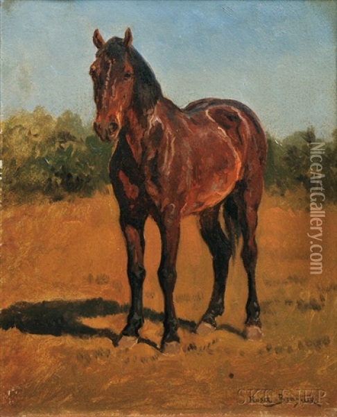 Study Of A Standing Horse Oil Painting - Rosa Bonheur