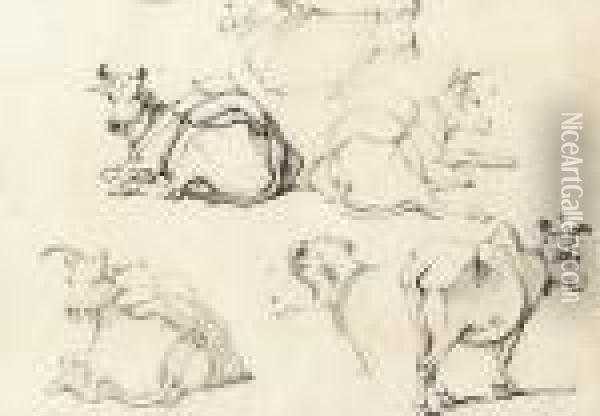 Studies Of Indian Cattle Oil Painting - George Chinnery