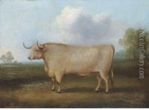 A Longhorned Bull In A Landscape Oil Painting - William Henry Davis