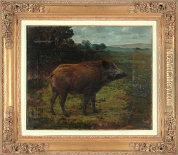 Wild Boar Oil Painting - Rosa Bonheur