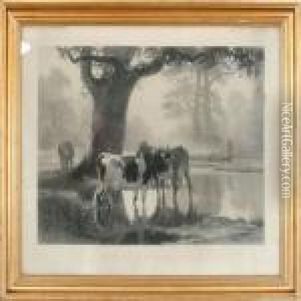 Vaches A L'abreuvoir Oil Painting - Auguste Bonheur