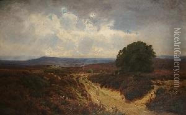 Sheep On A Heathland Path Oil Painting - John Clayton Adams