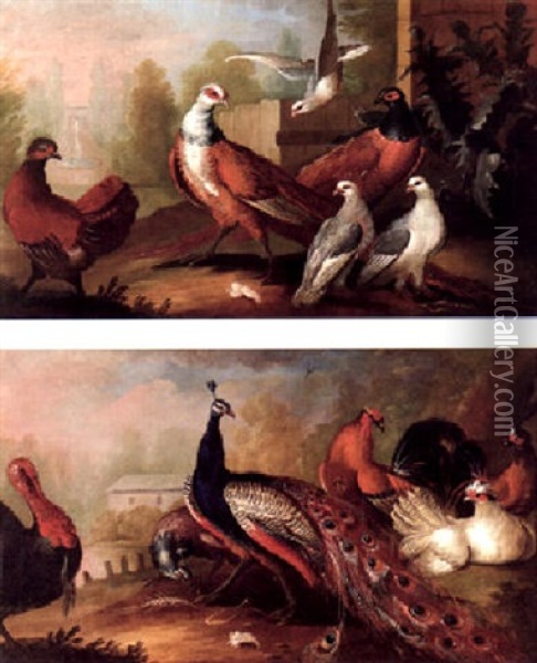 Peacocks, A Turkey And Fowl In A Landscape Oil Painting - Marmaduke Cradock