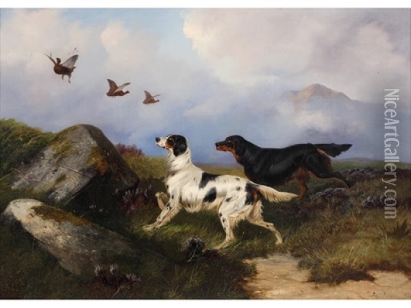 At The Ready - Two Setters Putting Up Grouse Oil Painting - Colin Graeme