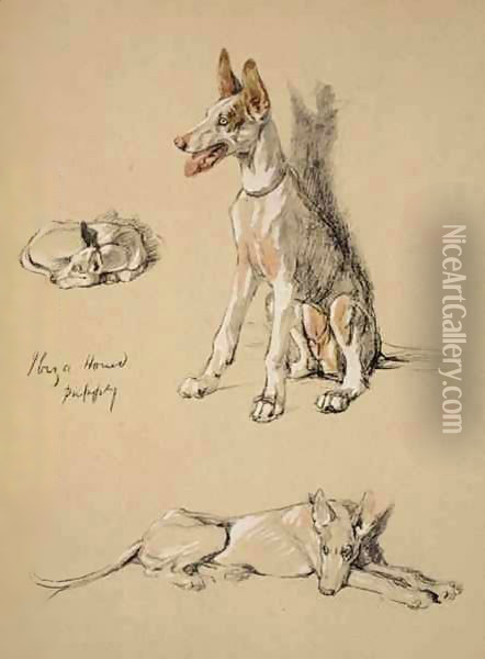 Ibiza Hound Puppy Oil Painting - Cecil Charles Aldin