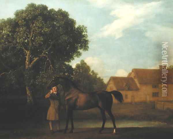 Sweet William, 1783 Oil Painting - George Stubbs