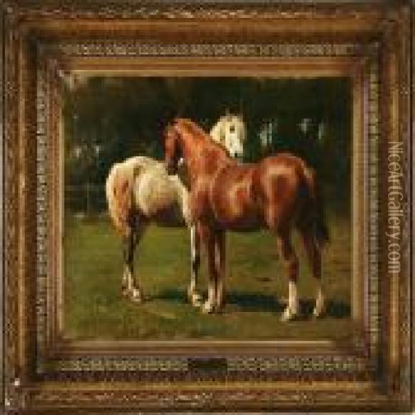Two Horses In An Enclosure Oil Painting - Otto Bache
