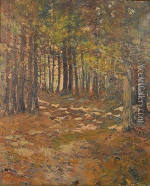 A Trail In The Woods, Macmahan Island, Maine Oil Painting - Philip Little
