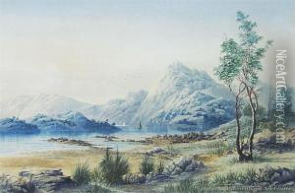 Fiordland Oil Painting - Tom Peerless
