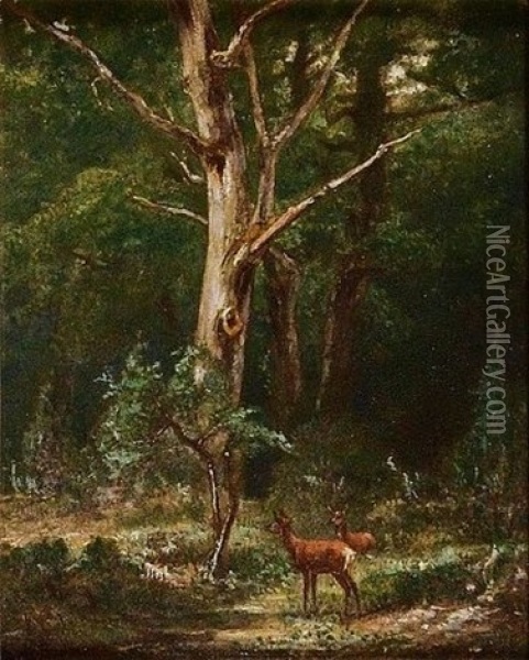 Biches En Foret Oil Painting - Karl Bodmer