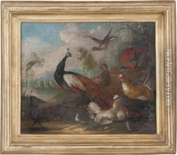 A Peacock And Other Fowl In A Landscape Oil Painting - Marmaduke Cradock