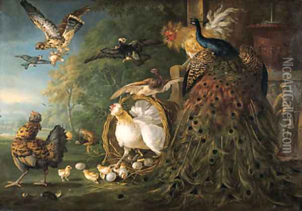A peacock, a cockerel, a hen with her chicks, a kestrel Oil Painting - Peter Casteels III