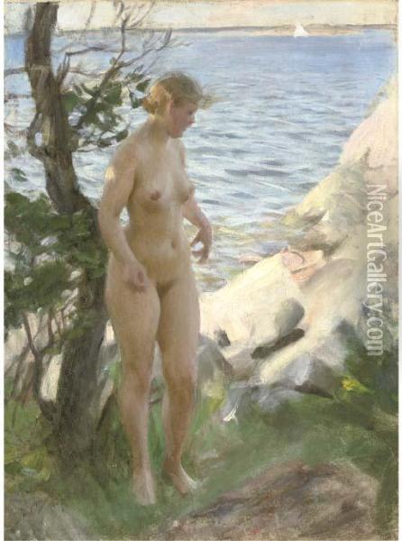 Nude At The Beach Oil Painting - Anders Zorn