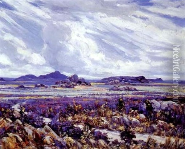 Springtime, Namaqualand Oil Painting - Pieter Hugo Naude